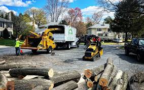 Reliable Summit Hill, PA Tree Services Solutions